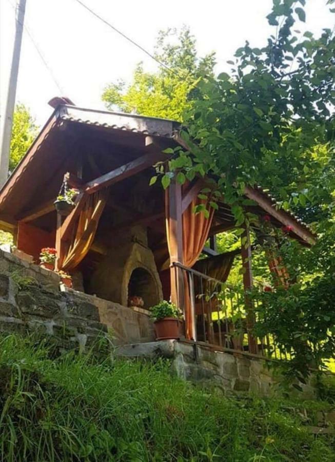 Вила Керенски Ribarița Exterior foto