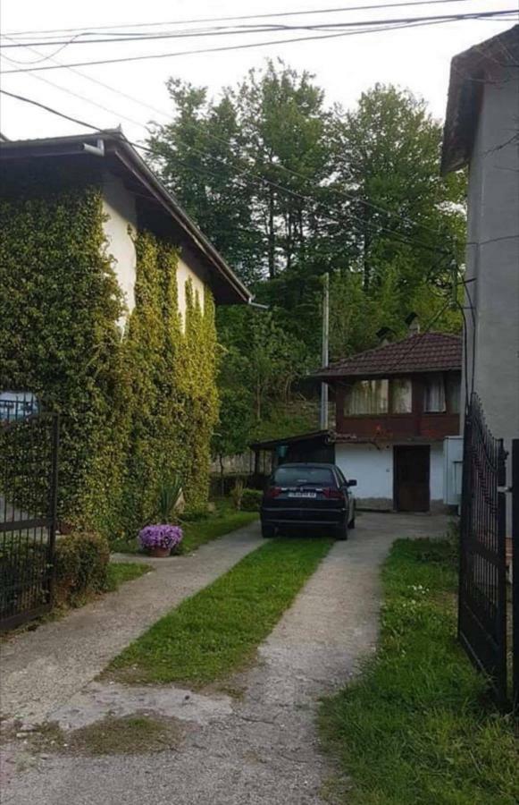 Вила Керенски Ribarița Exterior foto