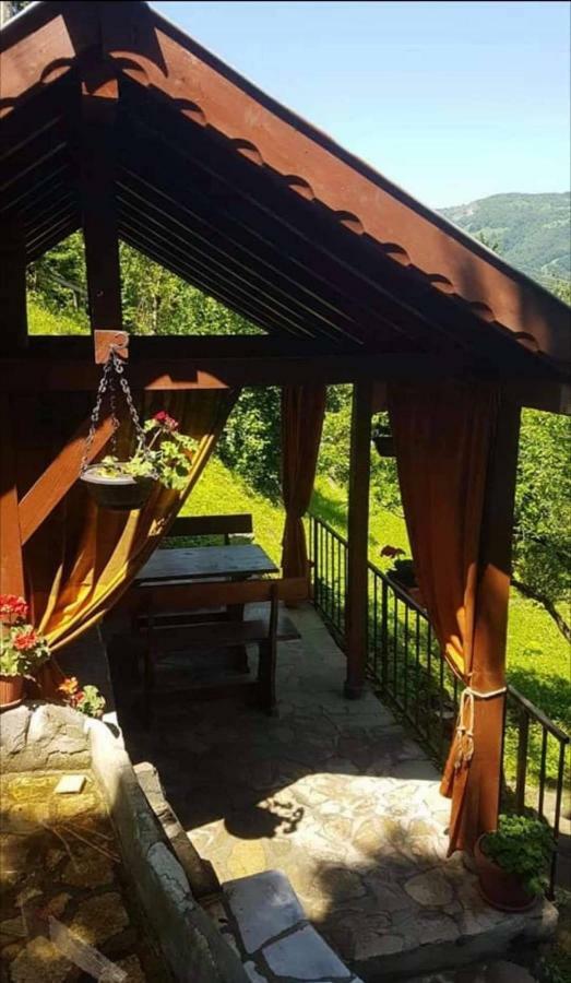 Вила Керенски Ribarița Exterior foto