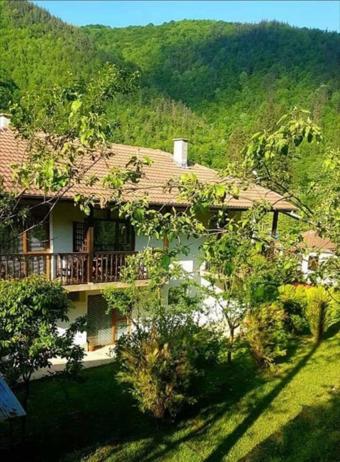 Вила Керенски Ribarița Exterior foto