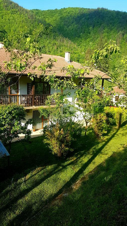 Вила Керенски Ribarița Exterior foto