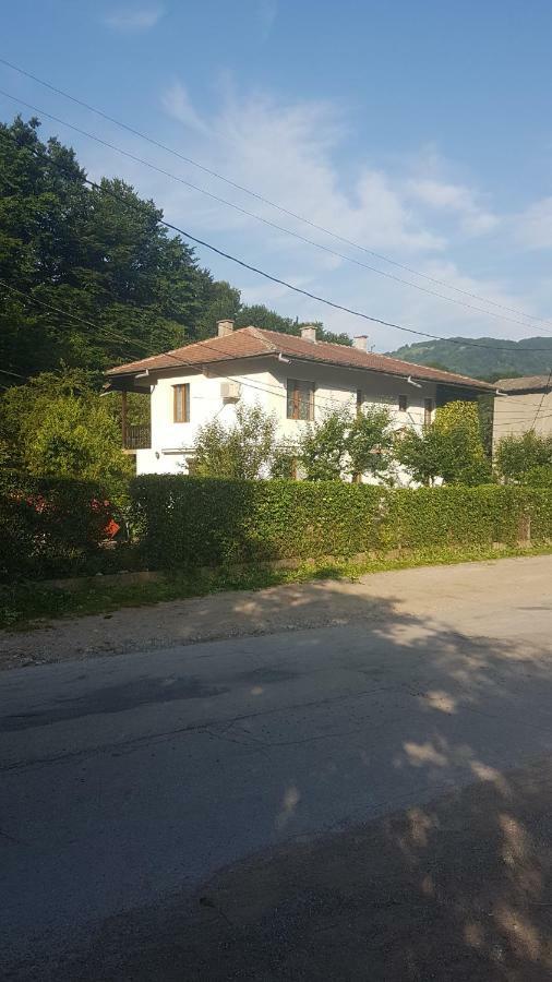 Вила Керенски Ribarița Exterior foto