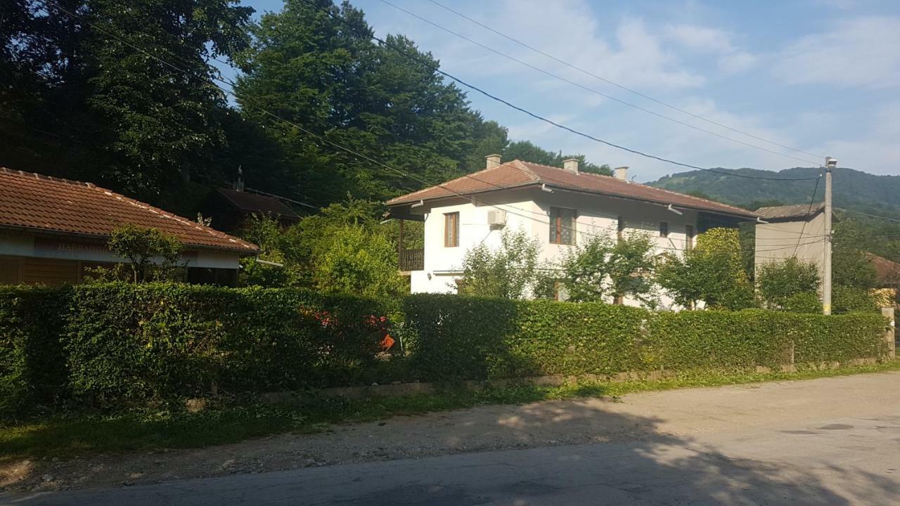 Вила Керенски Ribarița Exterior foto