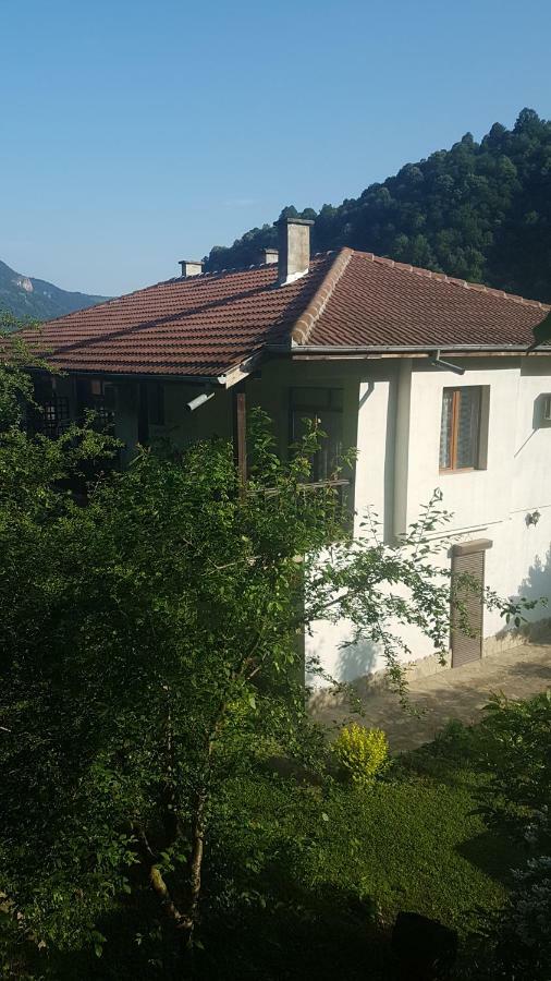 Вила Керенски Ribarița Exterior foto